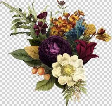 High-Resolution Flowers, Trees, and Natural Elements Stock Illustration