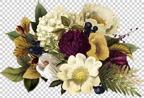 High-Resolution Flowers, Trees, and Natural Elements Stock Illustration
