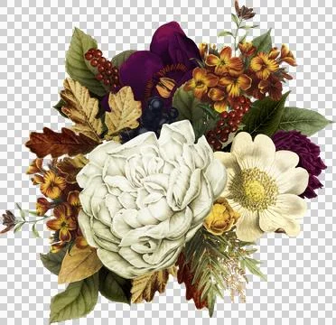 High-Resolution Flowers, Trees, and Natural Elements Stock Illustration