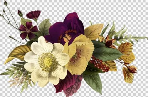 High-Resolution Flowers, Trees, and Natural Elements 스톡 일러스트