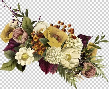 High-Resolution Flowers, Trees, and Natural Elements Stock Illustration