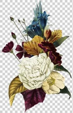 High-Resolution Flowers, Trees, and Natural Elements Stock Illustration