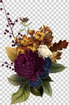 High-Resolution Flowers, Trees, and Natural Elements Stock Illustration