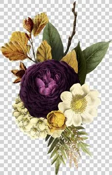 High-Resolution Flowers, Trees, and Natural Elements Stock Illustration