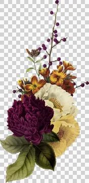 High-Resolution Flowers, Trees, and Natural Elements 스톡 일러스트