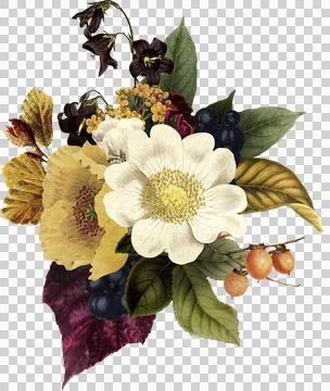 High-Resolution Flowers, Trees, and Natural Elements Stock Illustration
