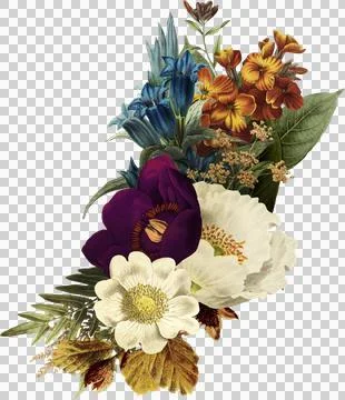 High-Resolution Flowers, Trees, and Natural Elements Stock Illustration