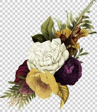 High-Resolution Flowers, Trees, and Natural Elements Stock Illustration