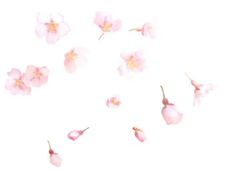 High-Resolution Flowers, Trees, and Natural Elements Stock Illustration