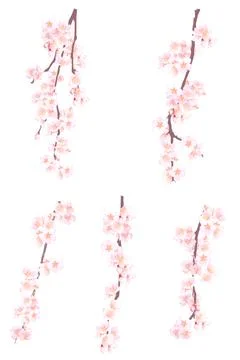 High-Resolution Flowers, Trees, and Natural Elements Stock Illustration
