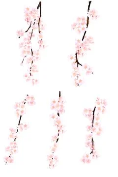 High-Resolution Flowers, Trees, and Natural Elements Stock Illustration