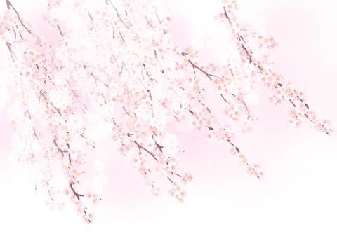 High-Resolution Flowers, Trees, and Natural Elements Stock Illustration
