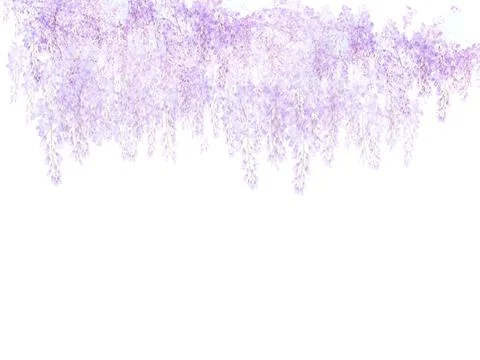 High-Resolution Flowers, Trees, and Natural Elements Stock Illustration