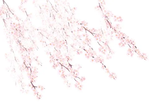 High-Resolution Flowers, Trees, and Natural Elements Stock Illustration