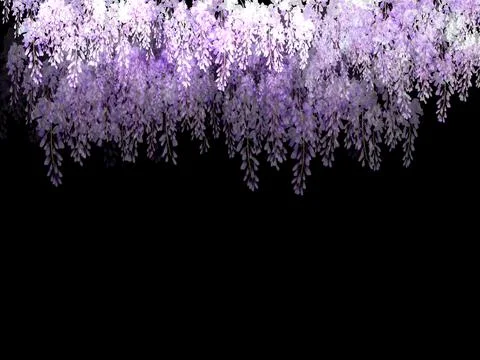 High-Resolution Flowers, Trees, and Natural Elements Stock Illustration