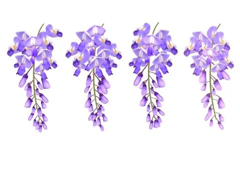 High-Resolution Flowers, Trees, and Natural Elements 스톡 일러스트