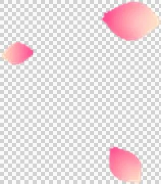 High-Resolution Flowers, Trees, and Natural Elements 스톡 일러스트