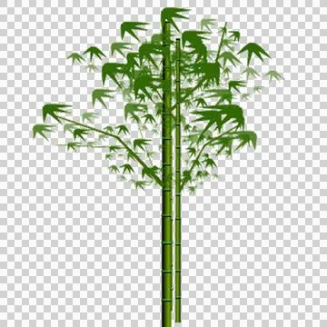 High-Resolution Flowers, Trees, and Natural Elements 스톡 일러스트