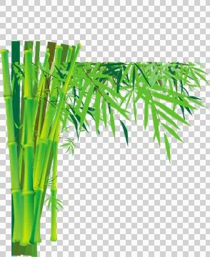 High-Resolution Flowers, Trees, and Natural Elements Stock Illustration