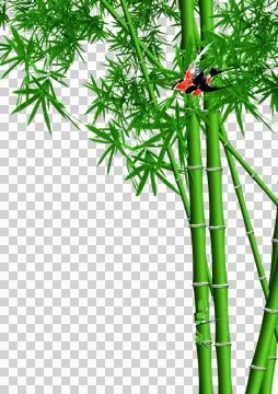 High-Resolution Flowers, Trees, and Natural Elements 스톡 일러스트