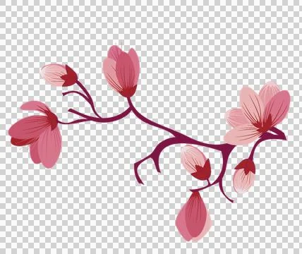 High-Resolution Flowers, Trees, and Natural Elements Stock Illustration