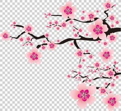 High-Resolution Flowers, Trees, and Natural Elements Stock Illustration
