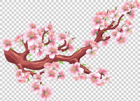 High-Resolution Flowers, Trees, and Natural Elements Stock Illustration