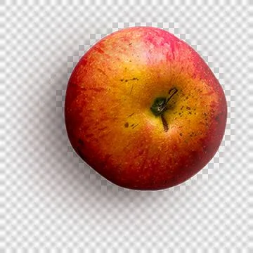 High-Resolution Flowers, Trees, and Natural Elements 스톡 사진