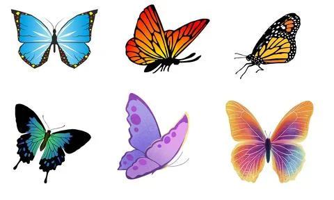 High resolution illustration icons pack of butterfly on white background Stock Illustration