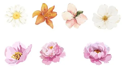 High resolution illustration icons pack of flowers on white background Stock Illustration
