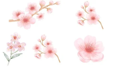 High resolution illustration icons pack of flowers on white background Stock Illustration