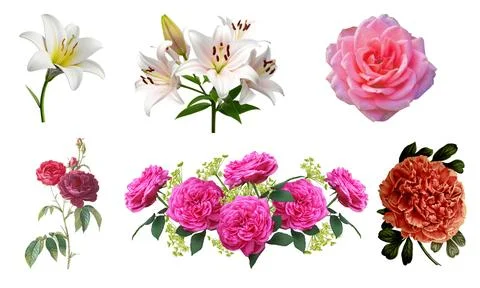 High resolution illustration icons pack of flowers on white background Stock Illustration