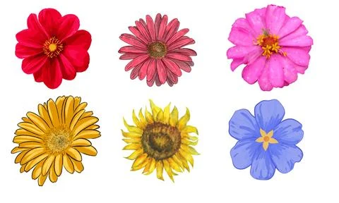 High resolution illustration icons pack of flowers on white background Stock Illustration