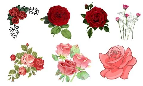 High resolution illustration icons pack of flowers on white background Stock Illustration