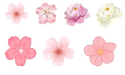 High resolution illustration icons pack of flowers on white background Stock Illustration