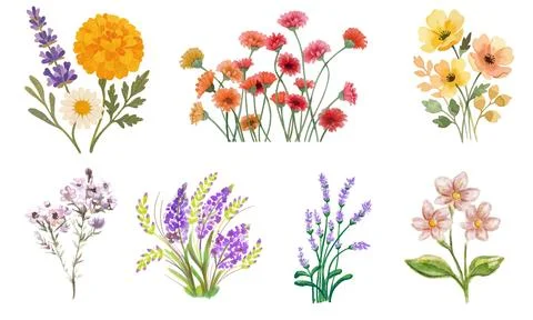 High resolution illustration icons pack of flowers on white background Stock Illustration