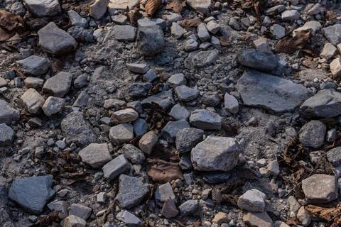 High-resolution image capturing the detailed texture of a rugged hiking tra.. Foto stock