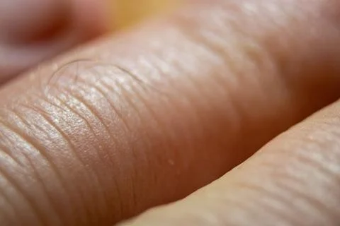 High-resolution image of human finger skin under macro closeup. Stock Photos
