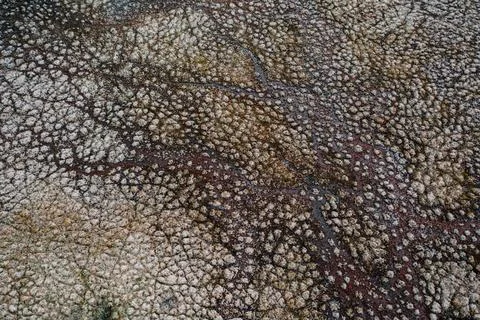 High-resolution image of a textured rock surface, viewed in close-up detail Stock Photos