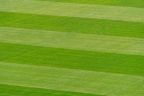 A high-resolution image of a well-maintained baseball field, showcasing pri.. Stock Photos