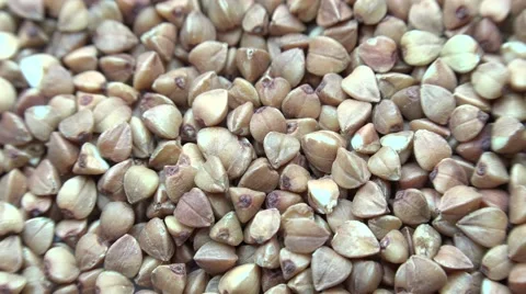 High Resolution Macro of Dry Buckwheat Grain. Dolly Shot. 4K UltraHD, UHD Stock Footage 49175204