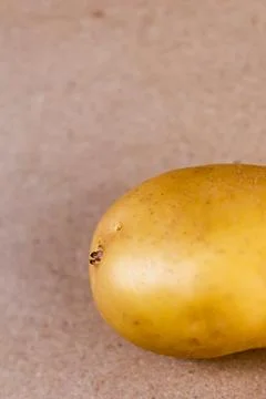 A high-resolution macro shot of a half golden potato segment resting Stock Photos