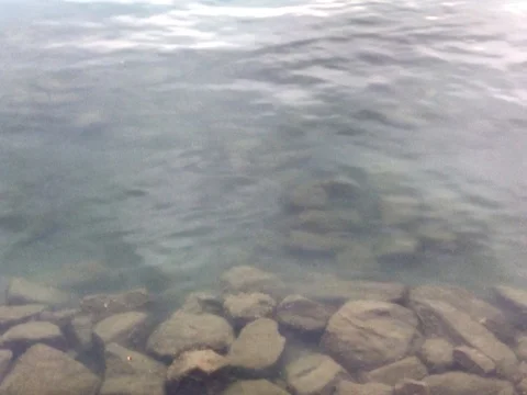 High resolution rocks in the water pond footage Video stock 73591955