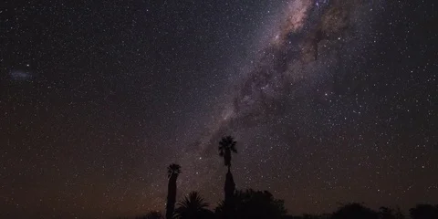 High Resolution Southern Sky Milky Way Timelapse with Palm Trees in Foreground Stock Footage