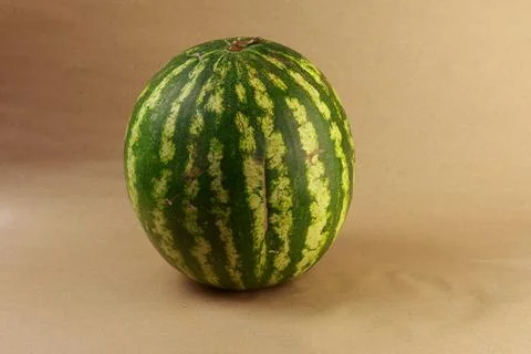 A high-resolution studio front-facing photograph of a whole round watermelon Stock Photos