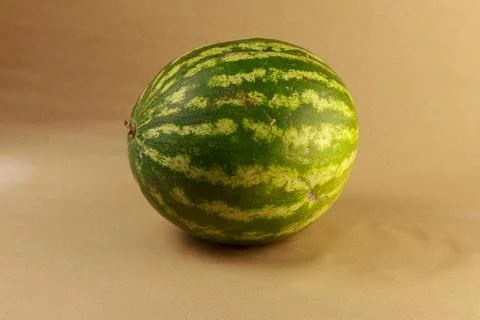 A high-resolution studio front-facing photograph of a whole round watermelon Stock Photos