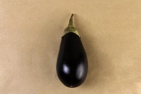 A high-resolution studio photograph of a single glossy deep purple eggplant Stock Photos