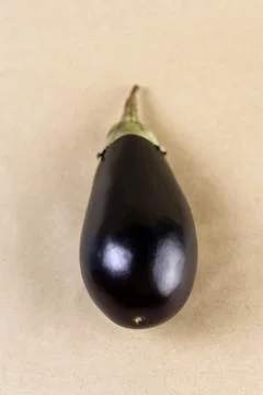 A high-resolution studio photograph of a single glossy deep purple eggplant Stock Photos