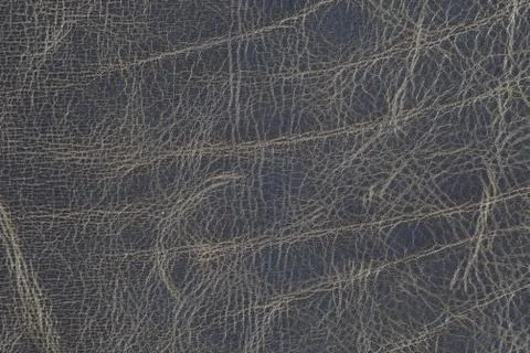 High resolution texture. Background. Skin. Stock Photos