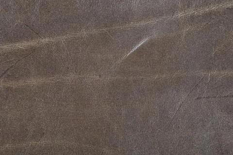 High resolution texture. Background. Skin. Stock Photos